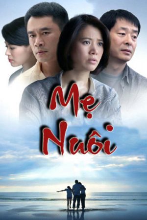 Poster phim Mẹ Nuôi