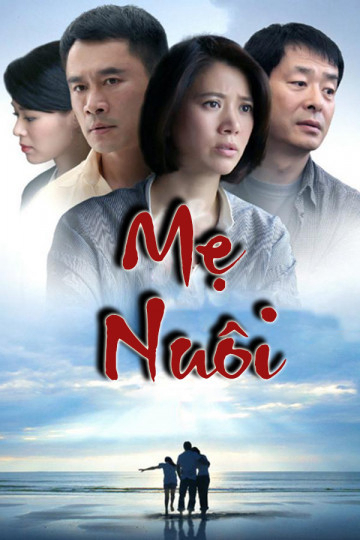 Poster phim Mẹ Nuôi