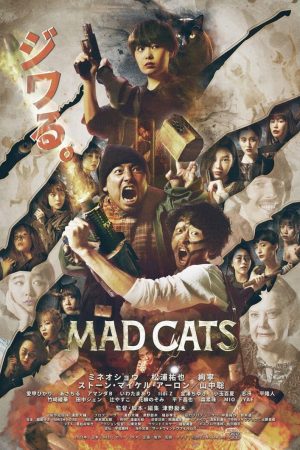 Poster phim Mèo Điên