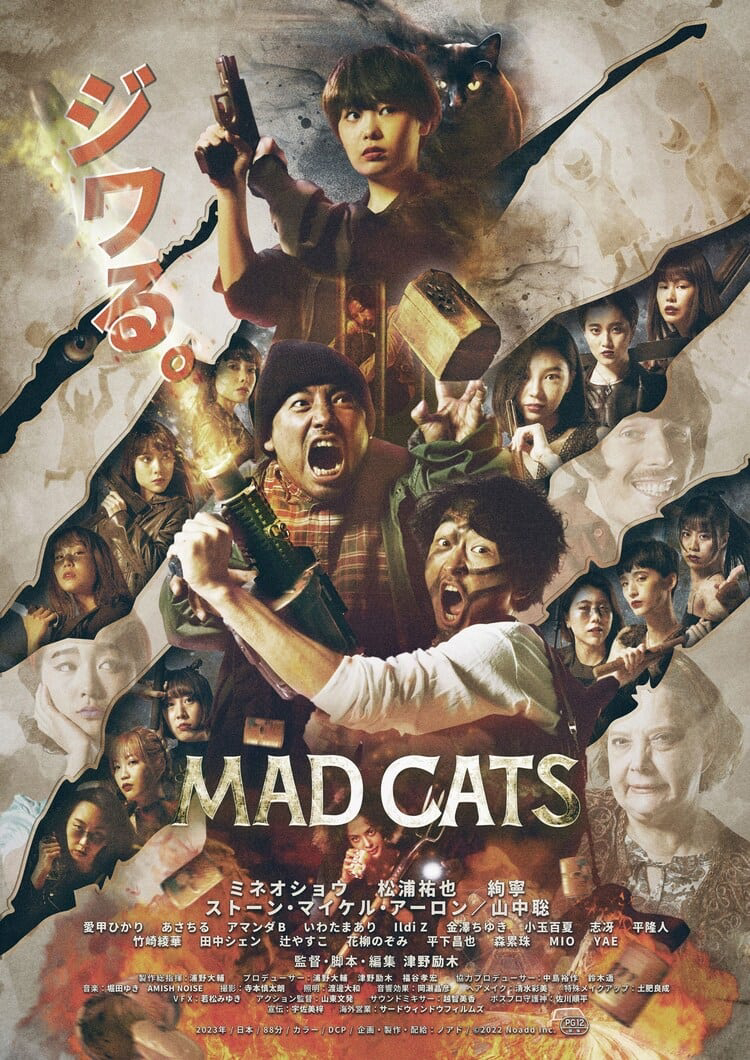 Poster phim Mèo Điên