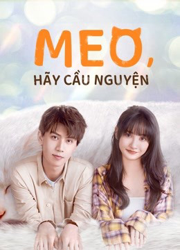 Poster phim Meo, Hãy Cầu Nguyện