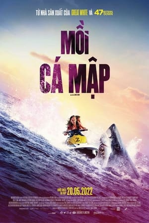 Poster phim Mồi Cá Mập