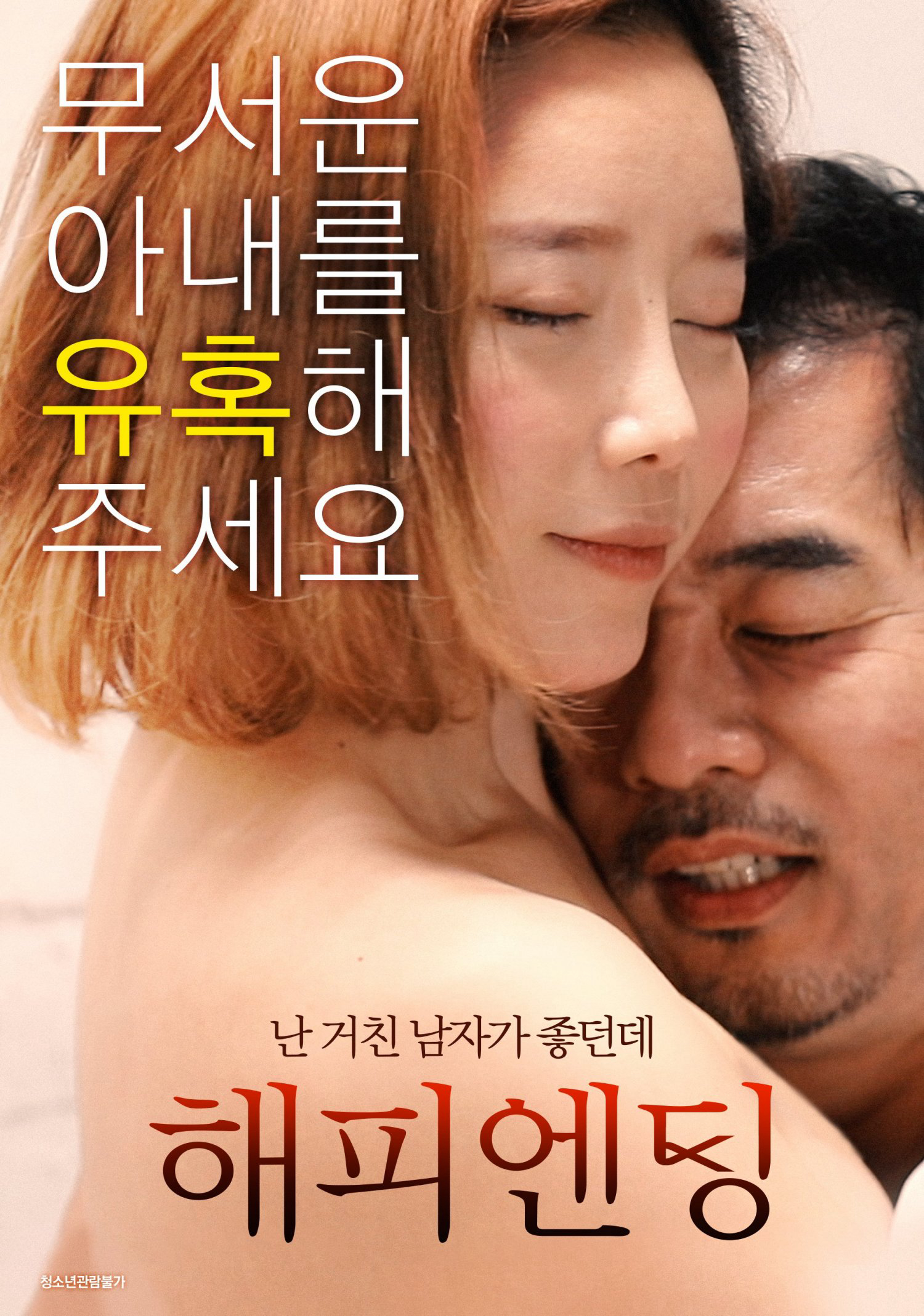 Poster phim Mối Tinh Lãng Mạng