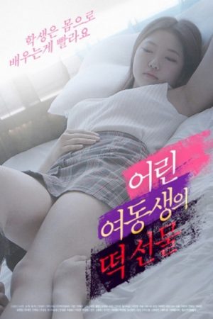 Poster phim Món Quà Của Cô Em Gái Nhỏ