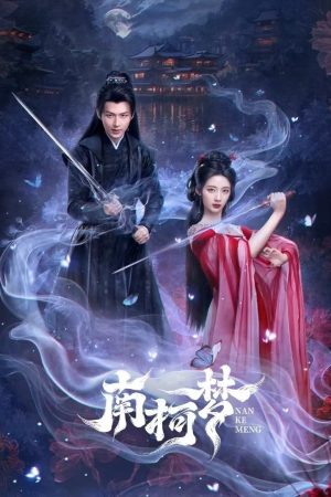 Poster phim Mộng Nam Kha