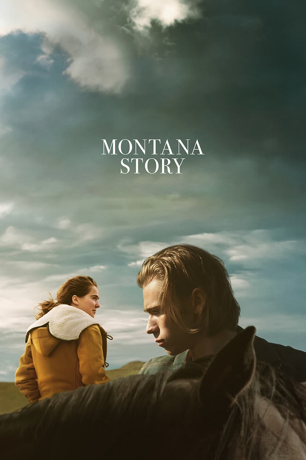 Poster phim Montana Story