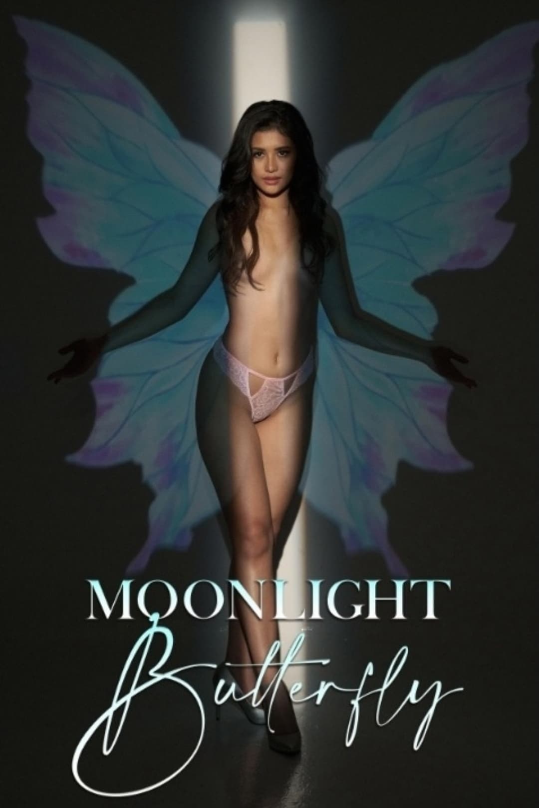 Poster phim Moonlight Butterfly