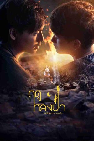 Poster phim Mùa Lạc Trong Rừng