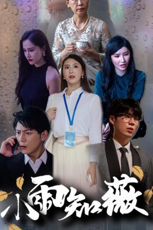 Poster phim Mưa Nhỏ Biết Vi