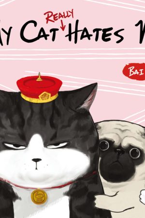Poster phim Liên Quan Gì Đến Mèo Tôi?