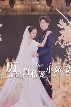 Poster phim Nàng Công Chúa Trong Mơ Của Tôi
