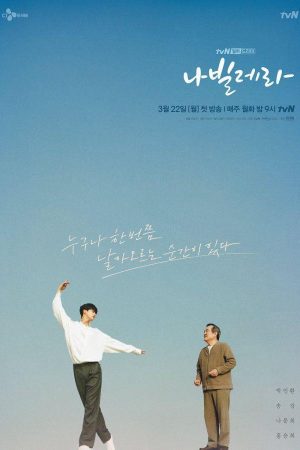 Poster phim Navillera: Như cánh bướm
