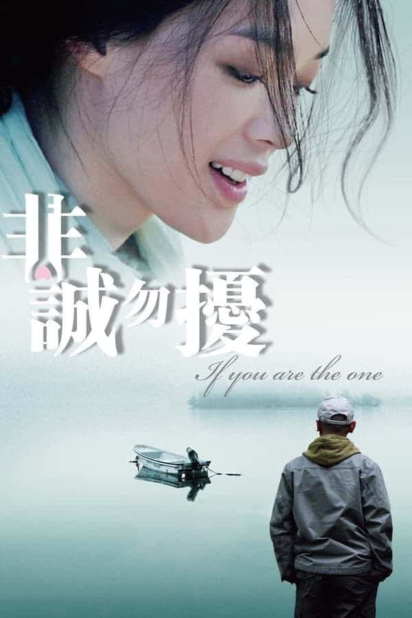Poster phim Nếu em là người tình