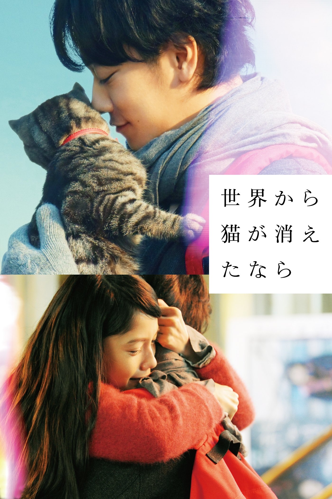 Poster phim If Cats Disappeared from the World