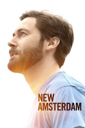 Poster phim New Amsterdam (Phần 3)