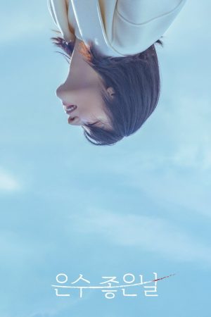 Poster phim Ngày Lành Của Eun Soo