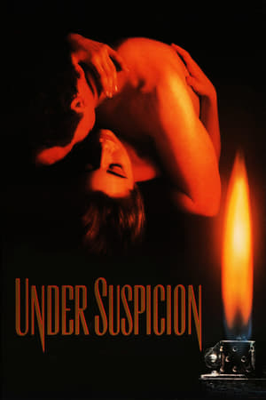 Poster phim Kẻ Tình Nghi – Under Suspicion