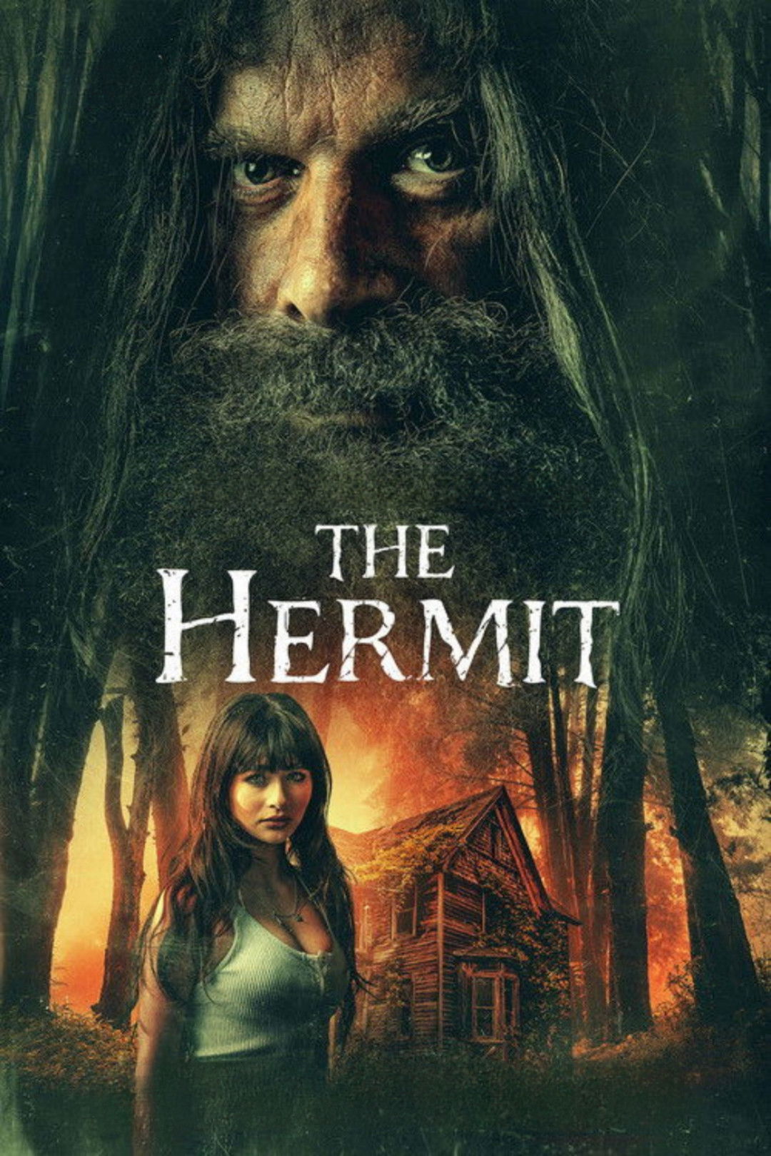 Poster phim The Hermit