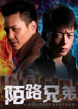 Poster phim Người anh em xa lạ
