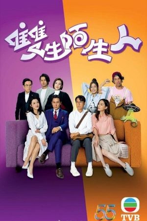 Poster phim Người Lạ Mặt Song Sinh