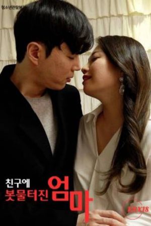 Poster phim Người Mẹ Rất Thích Nhiệt Tình