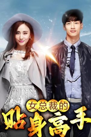 Poster phim Người quản gia riêng của nữ tổng tài