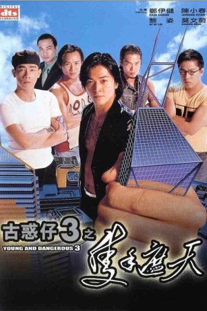 Poster phim Người trong giang hồ 3: Một tay che trời