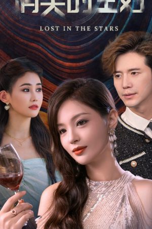 Poster phim Người Vợ Biến Mất