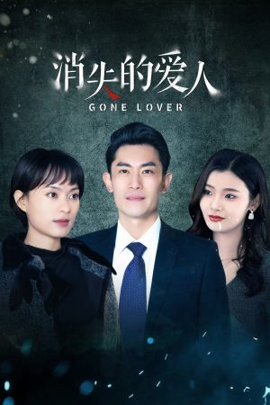 Poster phim Người Yêu Bị Mất Tích