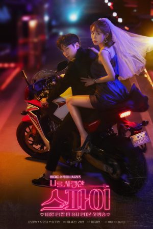 Poster phim Người Yêu Gián Điệp Của Tôi