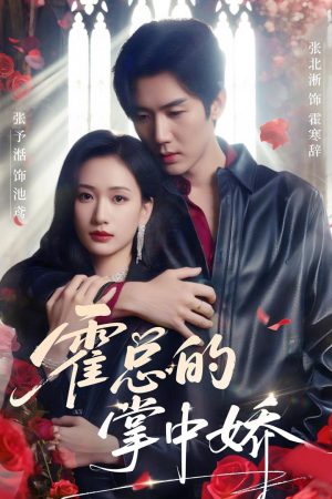 Poster phim Người Yêu Của Tổng Giám Đốc Huo
