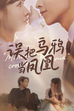 Poster phim Nhầm Quạ Với Phượng Hoàng