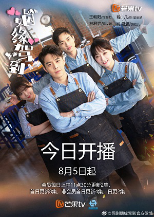 Poster phim Nhân Duyên Giá Đáo