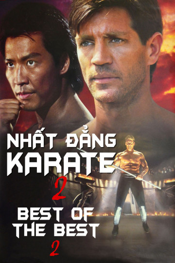 Poster phim Nhất Đẳng Karate 2