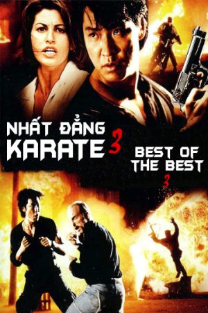 Poster phim Nhất Đẳng Karate 3