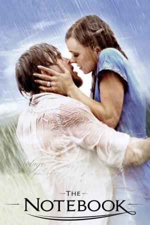 Poster phim Nhật Ký Tình Yêu