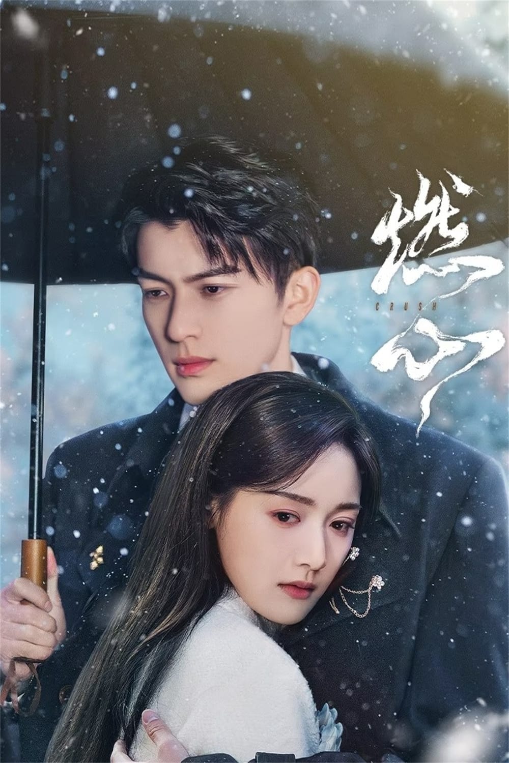 Poster phim Nhiên Tâm