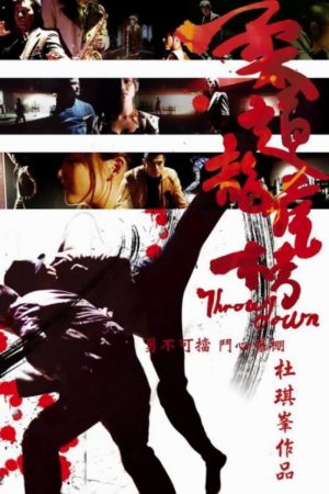 Poster phim Nhu Đạo Long Hổ Bang