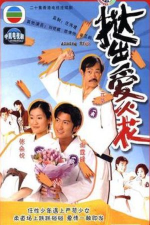 Poster phim Nhu Đạo Tiểu Tử
