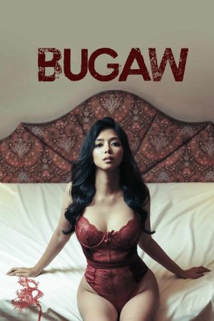 Poster phim Những Cánh Bướm Đêm
