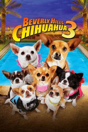Poster phim Những Chú Chó Chihuahua 3