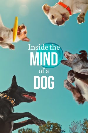 Poster phim Những chú chó nghĩ gì