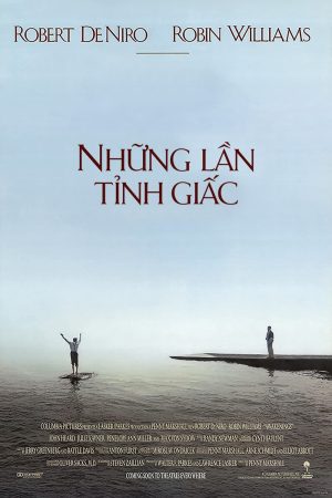 Poster phim Những lần tỉnh giấc