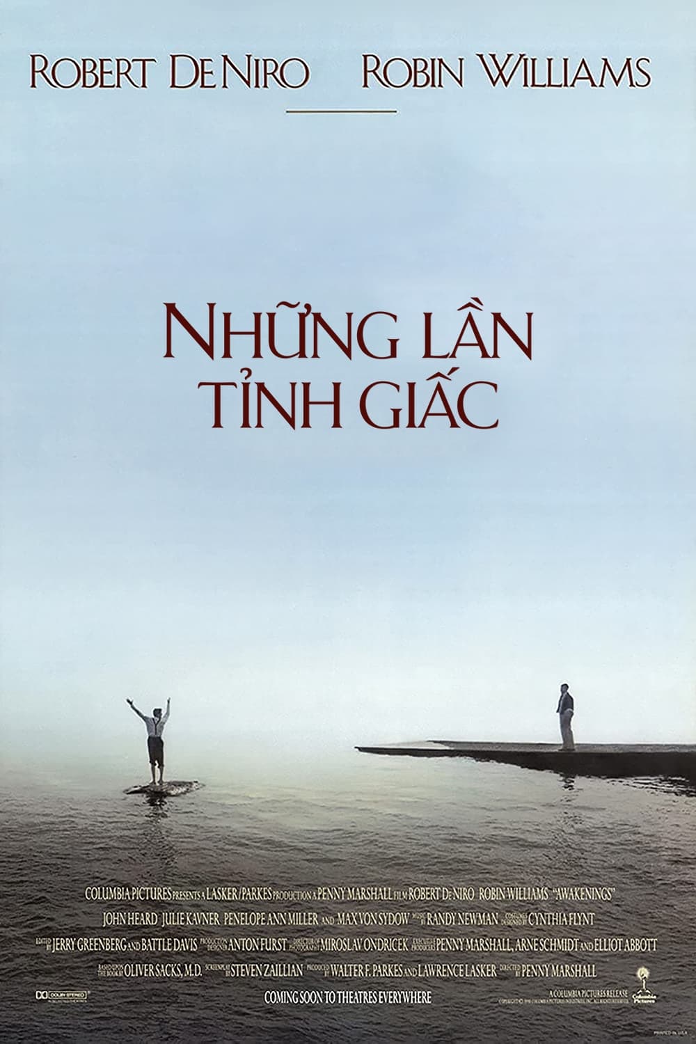Poster phim Những lần tỉnh giấc