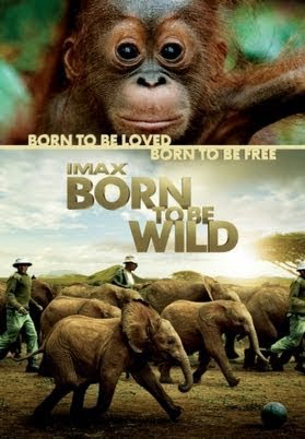 Poster phim Những Loài Vật Mồ Côi