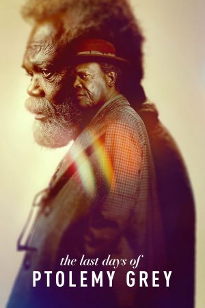 Poster phim Những Ngày Cuối Của Ptolemy Grey