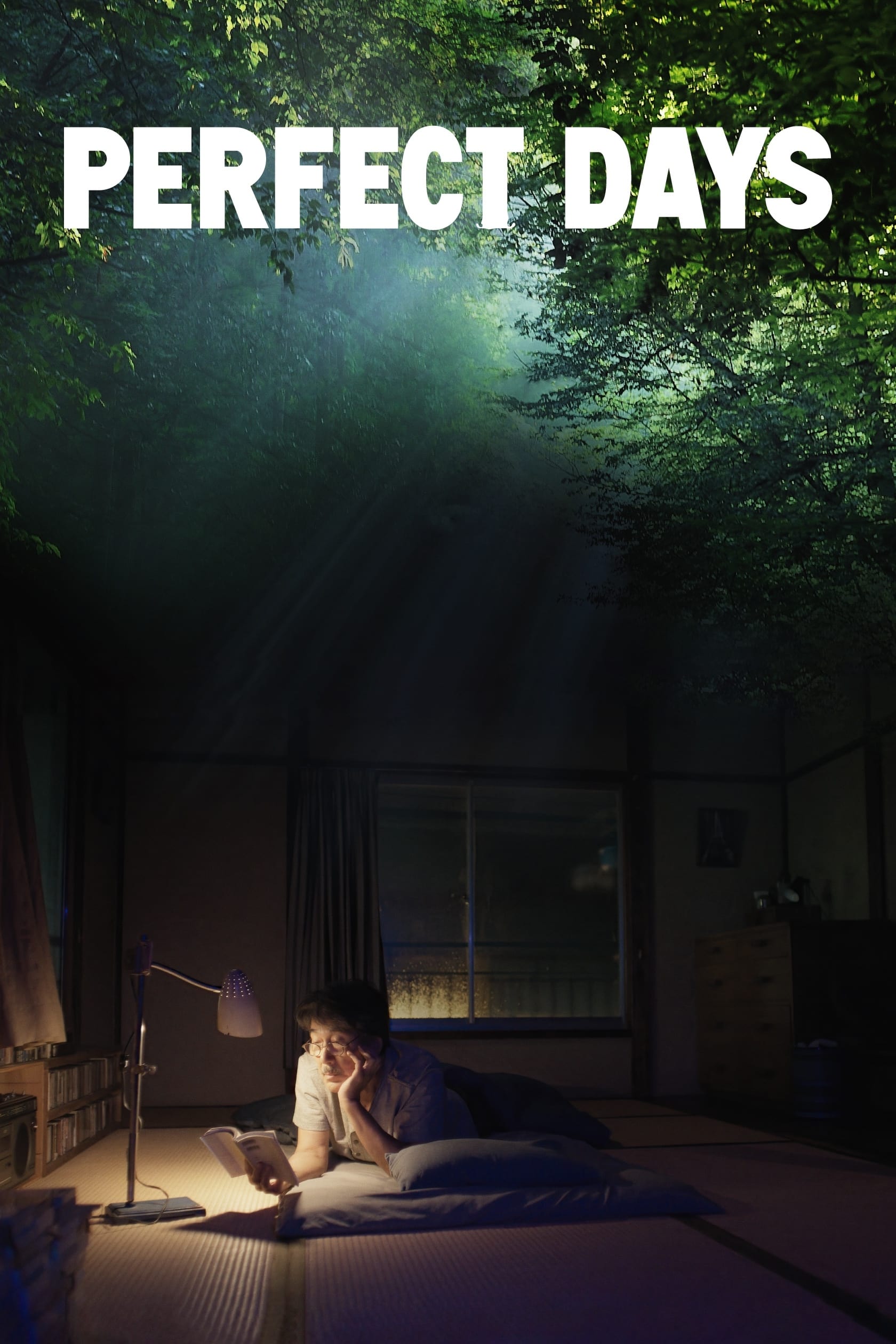Poster phim Những Ngày Hoàn Hảo