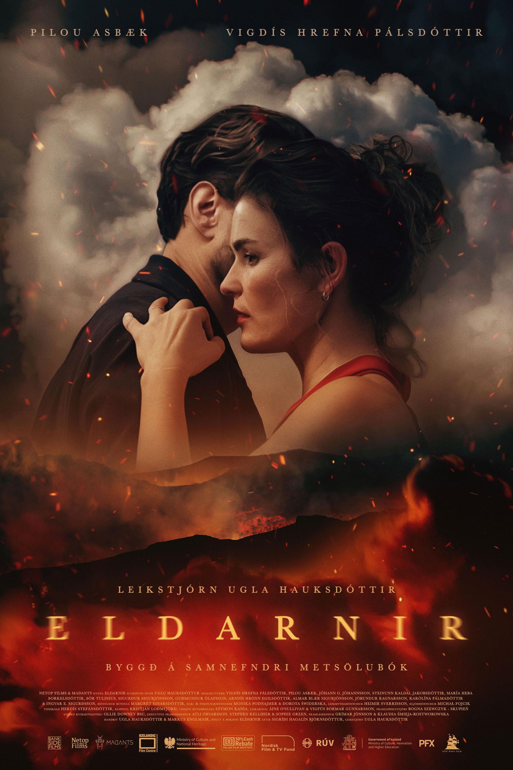 Poster phim The Fires
