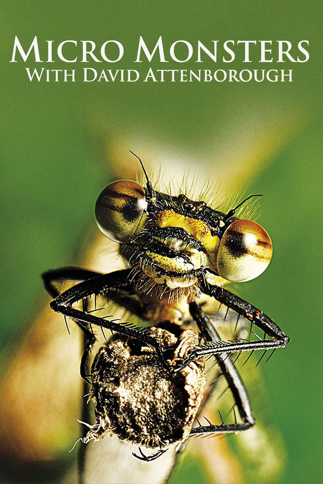 Poster phim Những Quái Vật Tý Hon