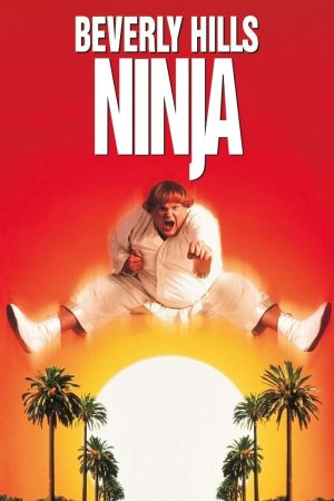Poster phim Ninja Béo Ù